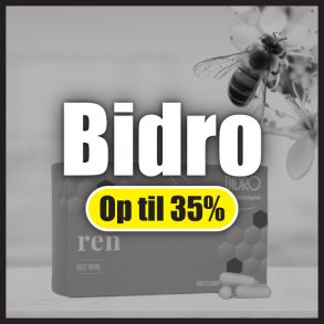 Bidro