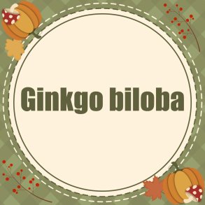 Ginkgo biloba