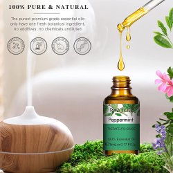 Aromatherapy St 100 % Essentielle olier - 12 x 5 ml