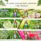Aromatherapy St 100 % Essentielle olier - 12 x 5 ml