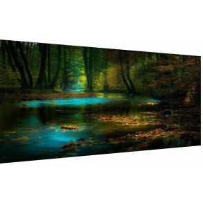 Vgbillede af Skovlandskab - 100 x 75 cm