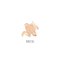 Annemarie B�rlind Naturwear Foundation - Beige