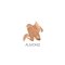 Annemarie B�rlind Naturwear Foundation - Almond