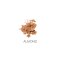 Annemarie B�rlind Compact Powder - Almond