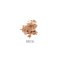 Annemarie B�rlind Compact Powder - Beige