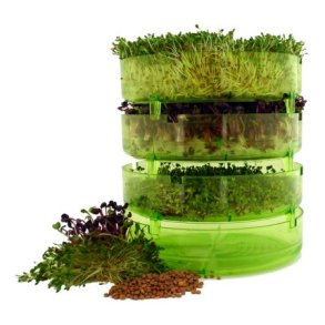 Biogan Spire Sprouter - 1 stk.