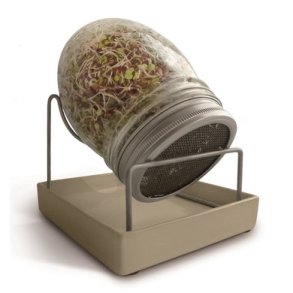 Biogan Spire glas - 1 stk