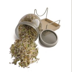 Biogan Spire glas - 1 stk