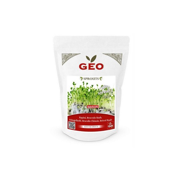 Biogan Broccoli Raab til spiring  - 500 g.
