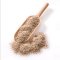 Biogan Sesamfr Uafskallede - kologiske - 1 kg