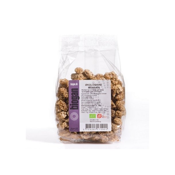 Biogan Morbr Rawfood - kologisk - 200 g. 