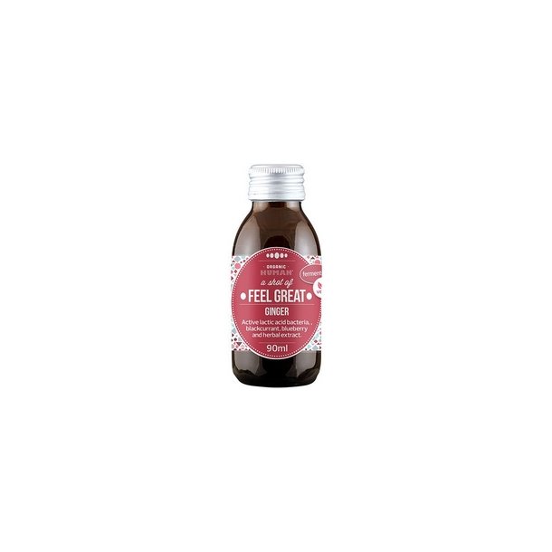 HUMAN Fermenteret ingefærshot Ø - 90 ml.