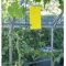 GreenProtect gule insektflder - 1 pk
