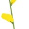 GreenProtect Plante Insektflde - 1 pk.