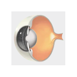 New Nordic Blue Berry Eye Stress - 60 tab.