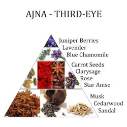 Chakra Rumspray Ajna - 6. Chakra m. bl.a. Enebr, lavendel og salvie - 100 ml.