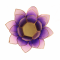 Lotus Capiz fyrfadsstage med guldfarvede kanter - Violet til lys violet