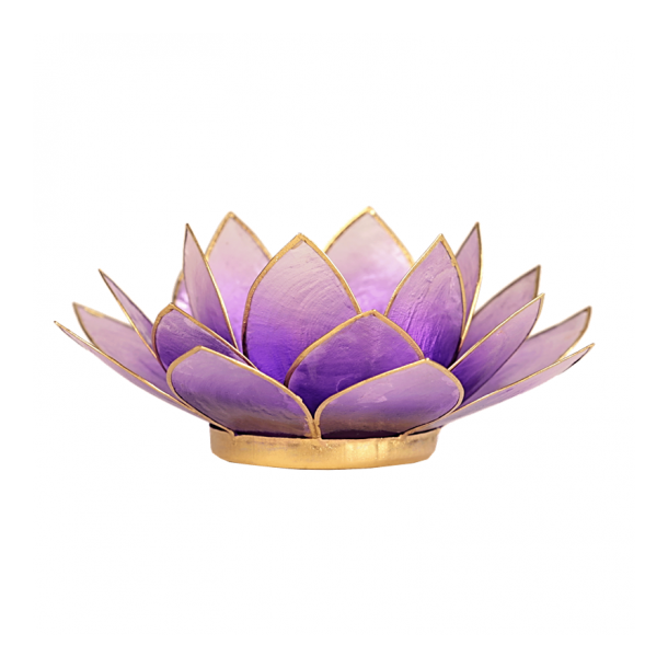 Lotus Capiz fyrfadsstage med guldfarvede kanter - Violet til lys violet