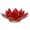 Lotus Capiz fyrfadsstage 1. Chakra - Rd med guldkant