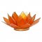 Lotus Capiz fyrfadsstage Orange - 2. Chakra med guldkant