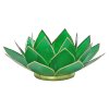 Lotus Capiz fyrfadsstage 4. Chakra - Grn med guldkant
