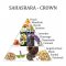 Chakra Rumspray Sahasrara - 7. Chakra m. bl.a. Jasmin og Lavendel - 100 ml.