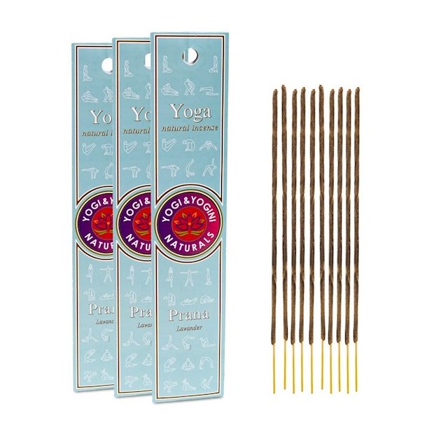 Yogi & Yogini Rgelsespinde - Yoga Prana 