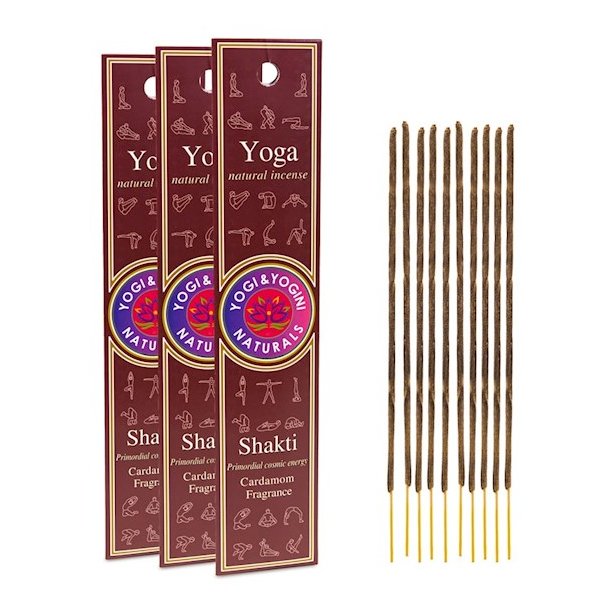 Yogi & Yogini Rgelsespinde - Yoga Shakti