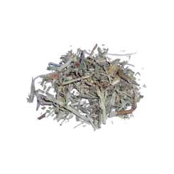 Rgelse Prriebynke/Prairiebijvoet/Sagebrush(Artemisia Tridentata) - 30 ml.