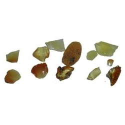 Rgelse Rav/Amber - 30 ml.