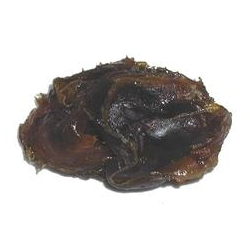 Rgelse Indisk Guggul Harpiks - 30 ml.