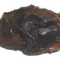 Rgelse Galbanum Harpiks - Ca. 10-14 g.