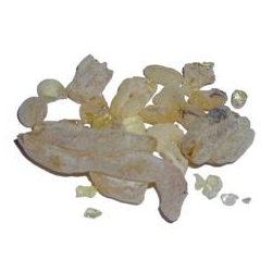 Rgelse Sandarak harpiks/Sandarak - 30 ml.