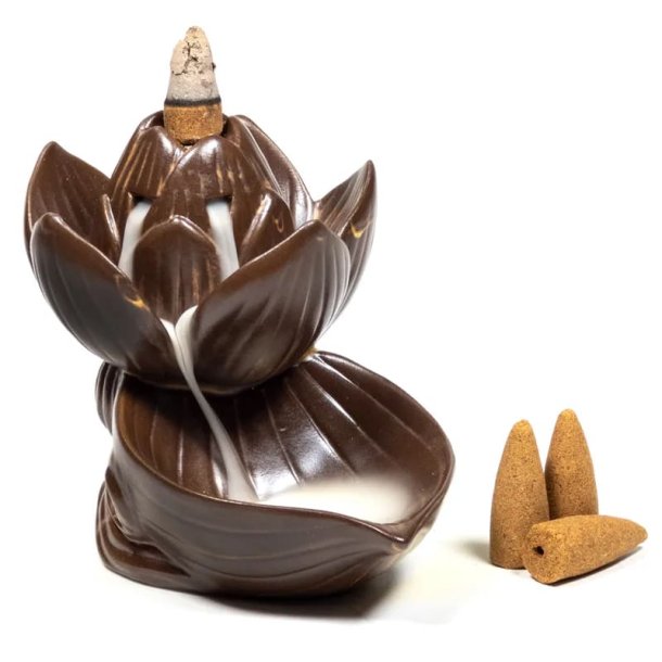 Rgelsesbrnder Ganesha med 