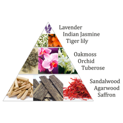 Aromafume Rgelsesterninger Orchid Karma - 9 stk.