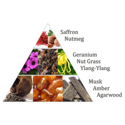 Aromafume Rgelsesterninger Oriental Pearl - 9 stk.