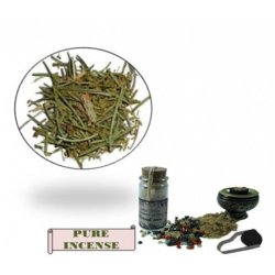 Rgelse Mexikansk Fyr/Maritime Pine - 30 ml.