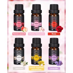 Aulaya Gavest med 100% rene og essentielle duftolier - 12 x 10 ml. 