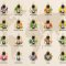 Aromatherapy St 100 % Essentielle olier - 20 x 5 ml.