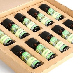 COM-FOUR Duftolier "Natur" til aromaterapi - 10 stk.