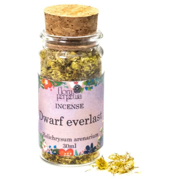 Rgelse Evighedsblomster/Dwarf Everlast - 30 ml.
