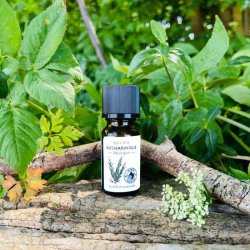 Epic Oils 100% ren terisk Rosmarinolie - kologisk - 10 ml.