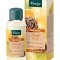 Kneipp Saunagus - 100 ml.
