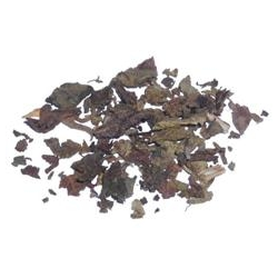 Rgelse Patchouli - 30 ml.