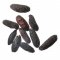 Rgelse Tongabnne/Tonka beans - 30 ml.