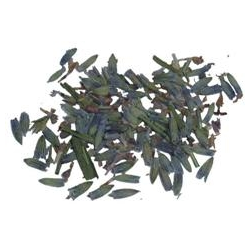 Rgelse Lavendel - 30 ml.