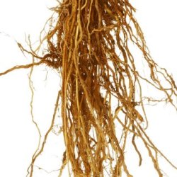 Florascent Aroma Spray Vetyver - 30 ml.