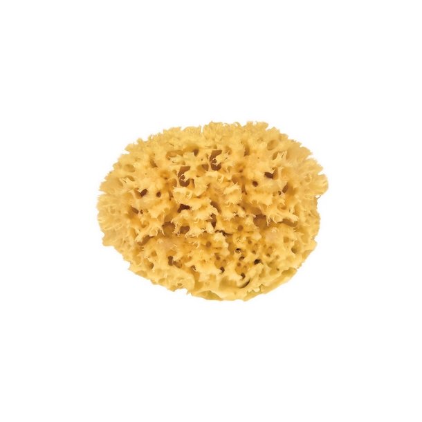 Croll & Denecke Natursvamp 13 cm 