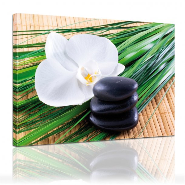 Wellnessbillede p&aring; l&aelig;rred - Zensten og Orkid&eacute;