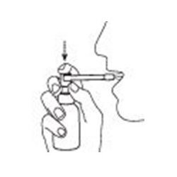 A. Vogel Echinacea Spray - 30 ml.